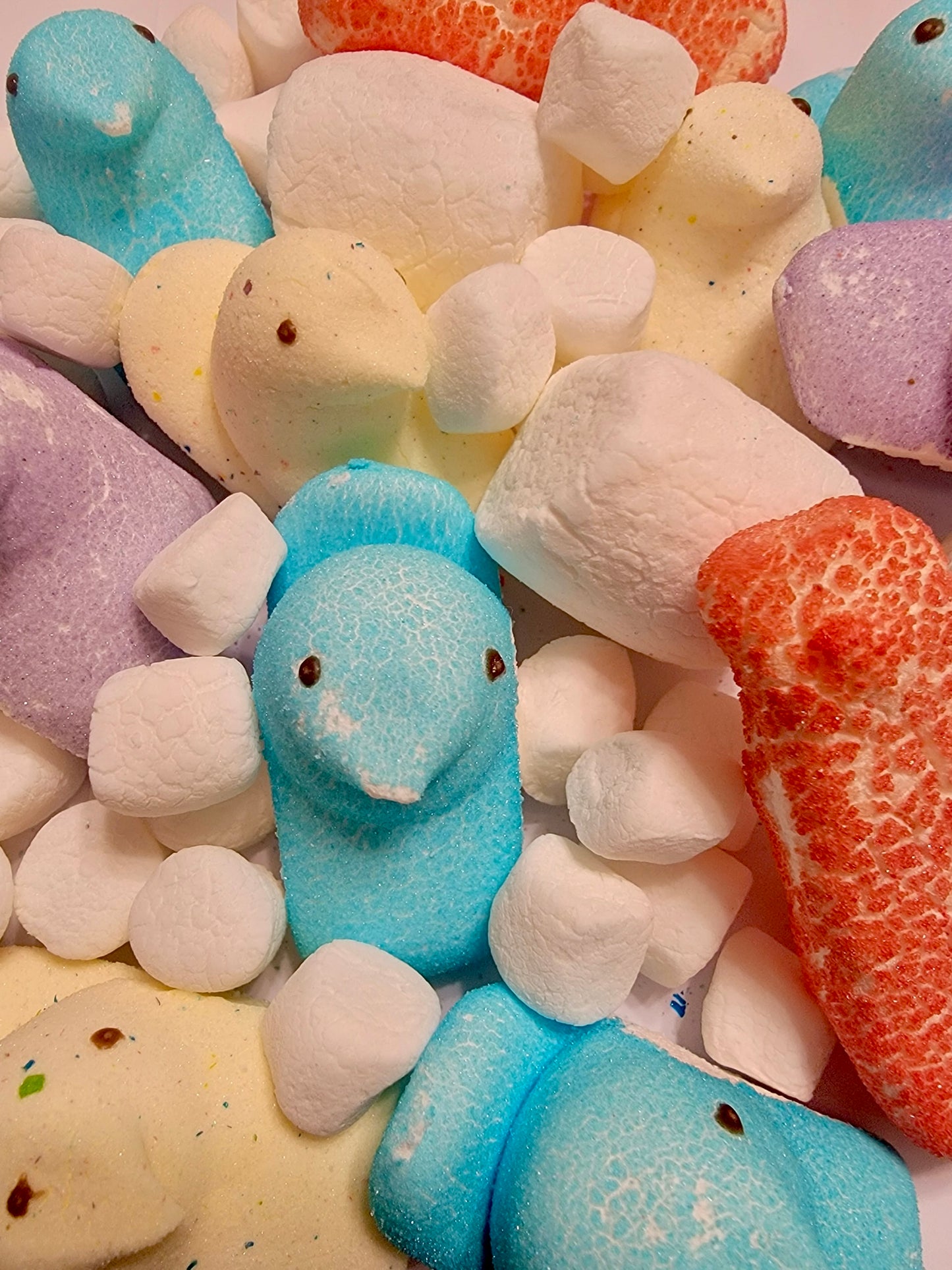 Freeze Dried Marshmallow Crunch